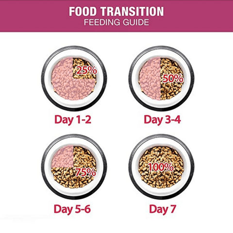 Me-O Adult Persian Cat Dry Food