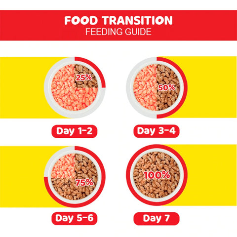 Me-O Salmon Adult Cat Dry Food